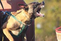 20. Miroslav Strašík a Ares Líščí vrch